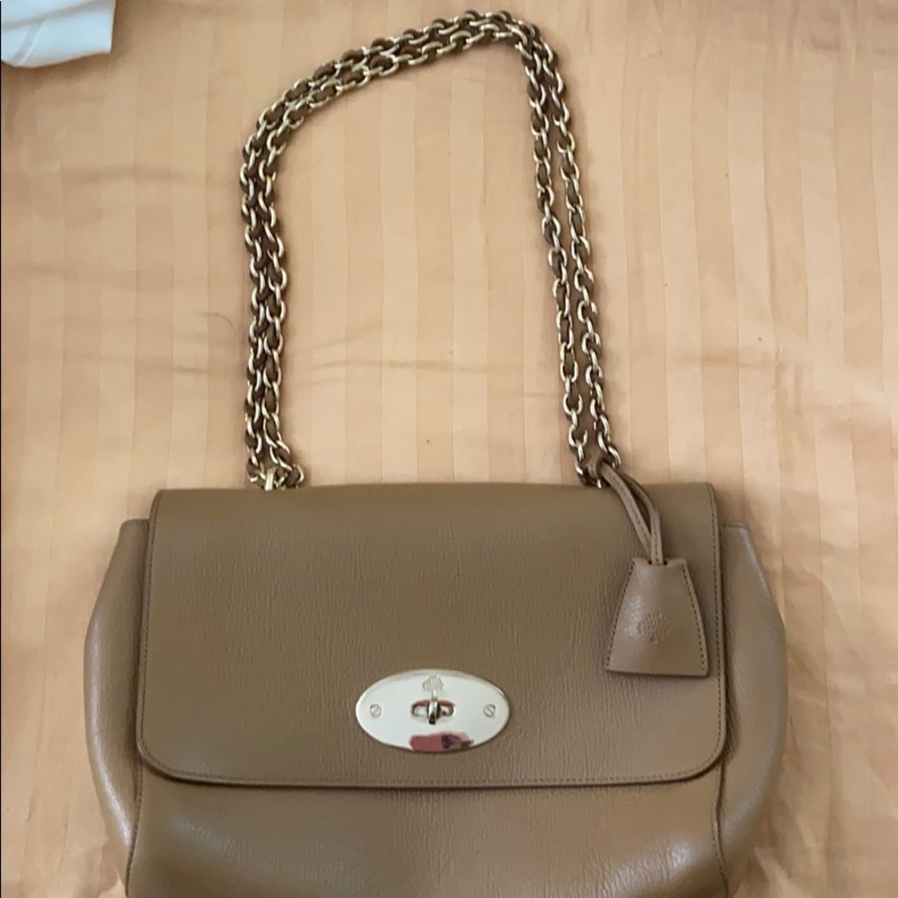 Mulberry Medium Lily